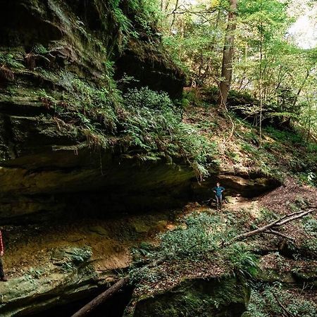 Dunlap Hollow A-Frame Rockbridge 外观 照片