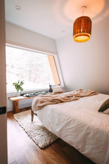Dunlap Hollow A-Frame Rockbridge 外观 照片