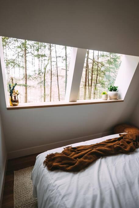 Dunlap Hollow A-Frame Rockbridge 外观 照片