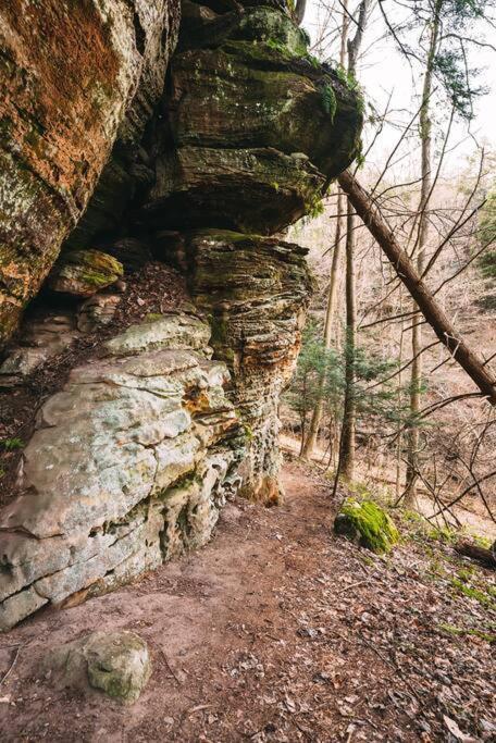 Dunlap Hollow A-Frame Rockbridge 外观 照片