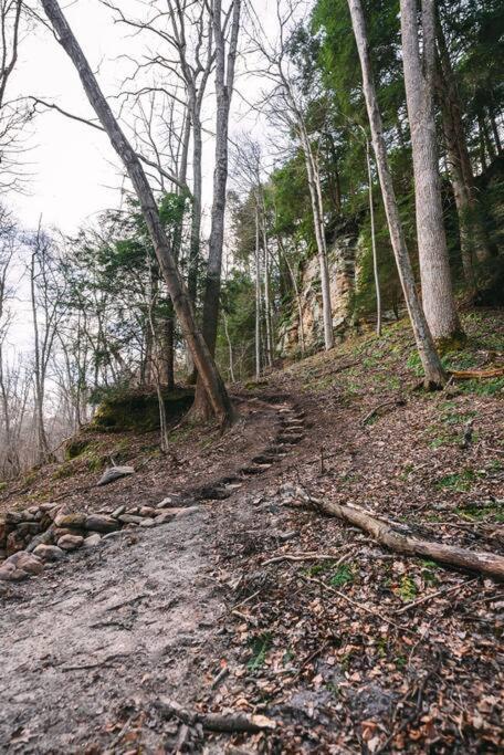 Dunlap Hollow A-Frame Rockbridge 外观 照片