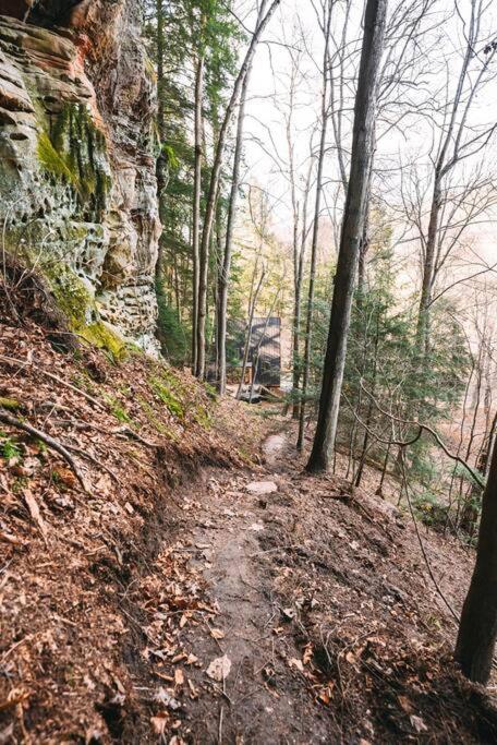Dunlap Hollow A-Frame Rockbridge 外观 照片