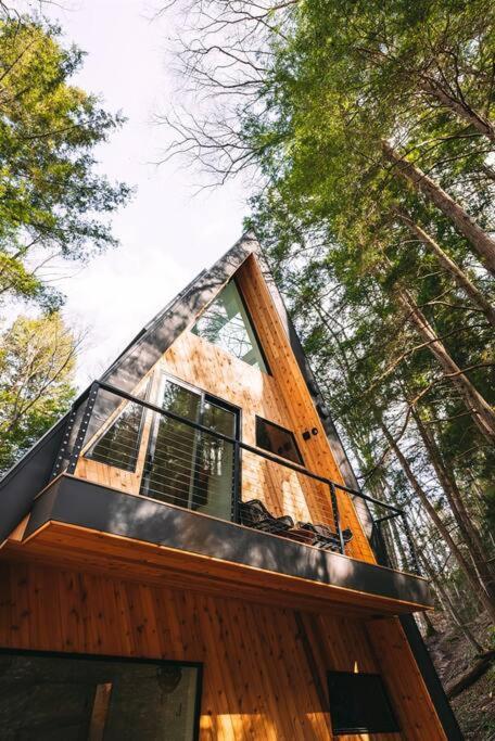 Dunlap Hollow A-Frame Rockbridge 外观 照片
