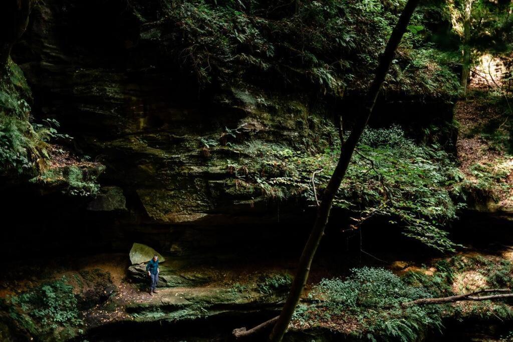 Dunlap Hollow A-Frame Rockbridge 外观 照片