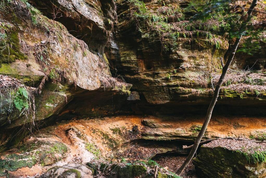 Dunlap Hollow A-Frame Rockbridge 外观 照片
